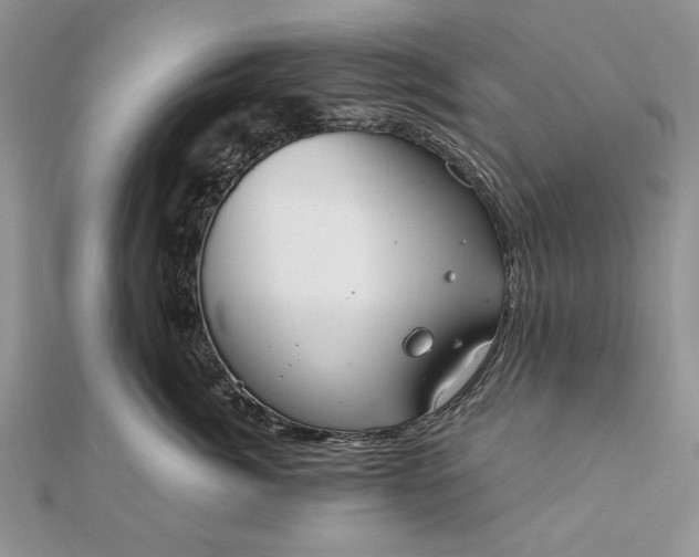 X0000111910764200908101200