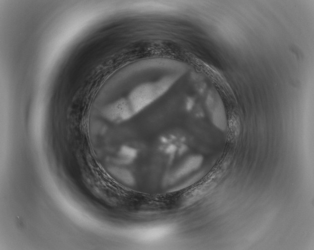 X0000111910765200908101200