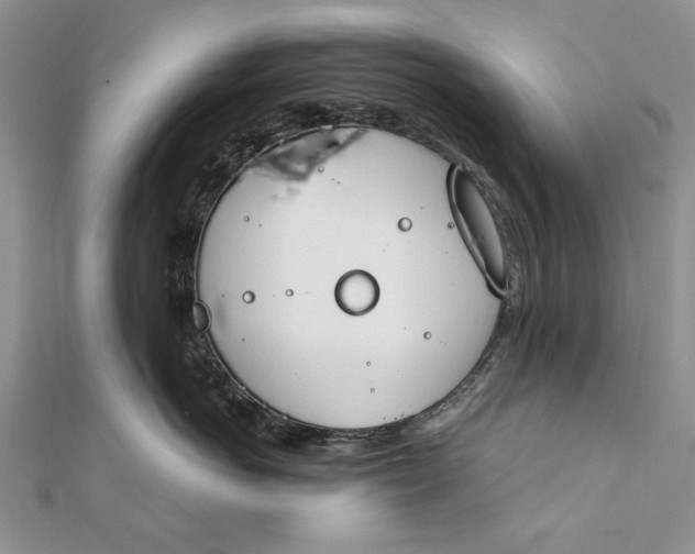 X0000111910766200908101201