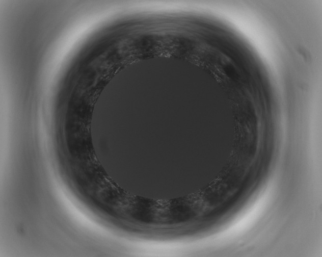 X0000111910767200908101201