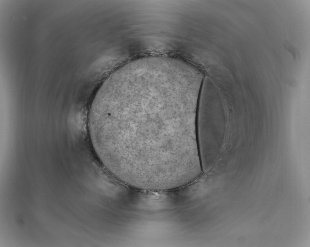 X0000111910768200908101201