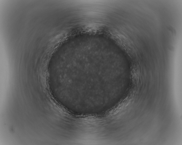 X0000111910769200908101200