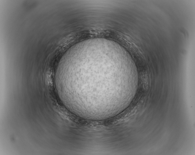 X0000111910770200908101200