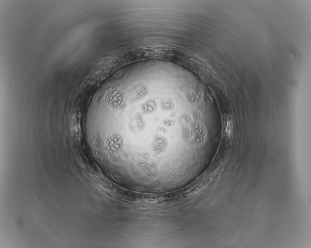 X0000111910771200908101200