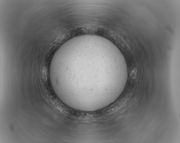 X0000111910772200908101200