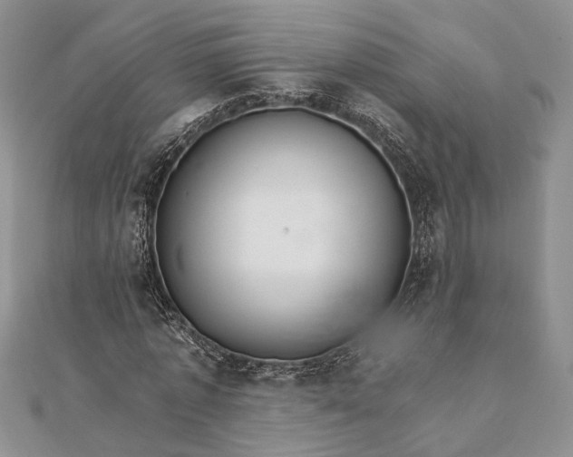 X0000111910773200908101200