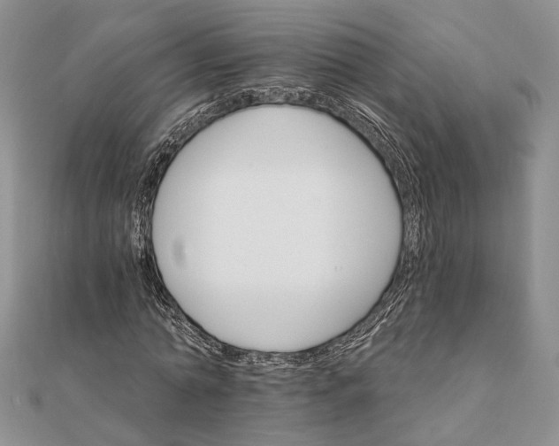 X0000111910774200908101200