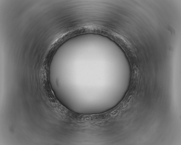 X0000111910776200908101200