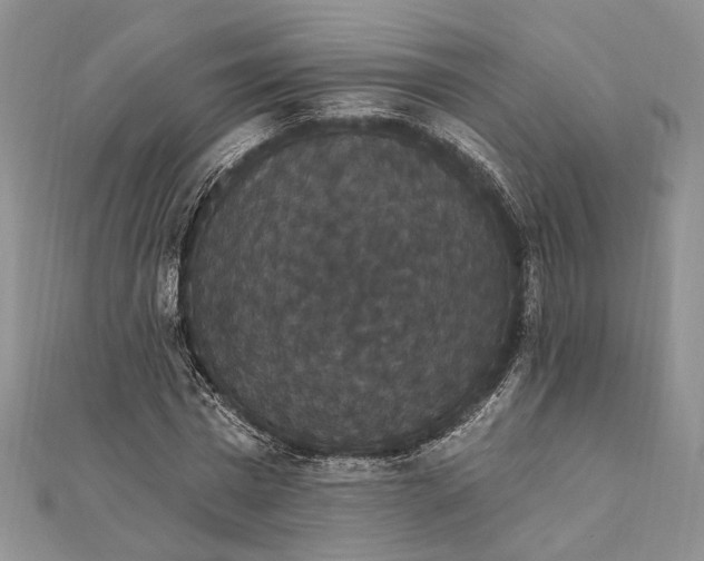 X0000111910777200908101200