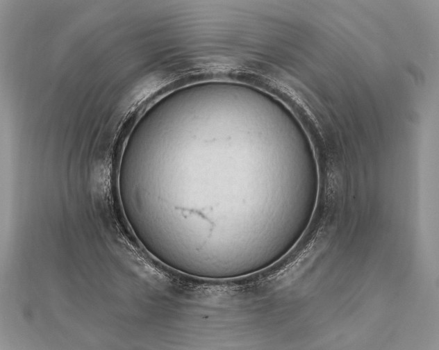 X0000111910778200908101200