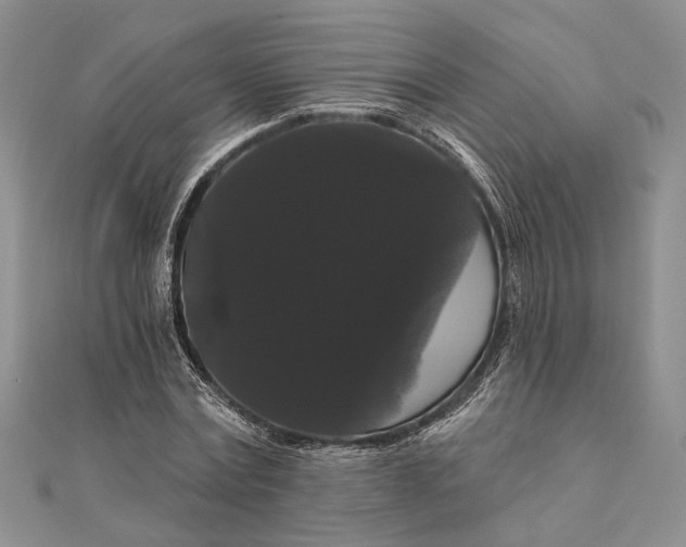 X0000111910779200908101200