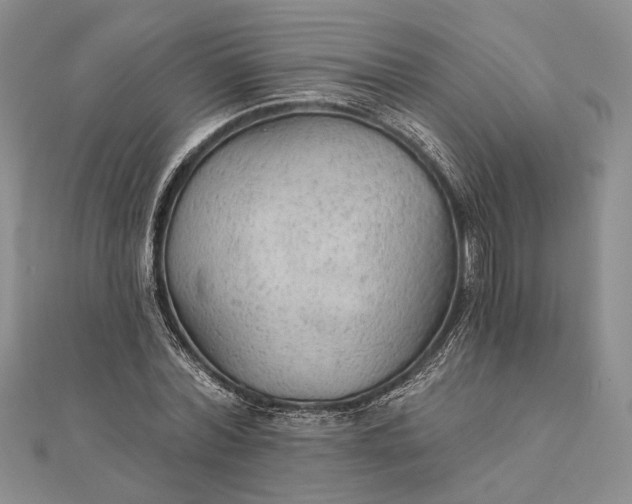 X0000111910780200908101200