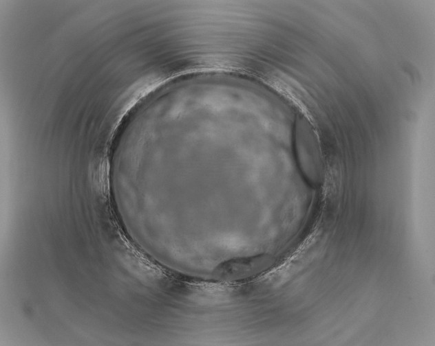 X0000111910781200908101200