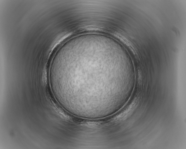 X0000111910782200908101200