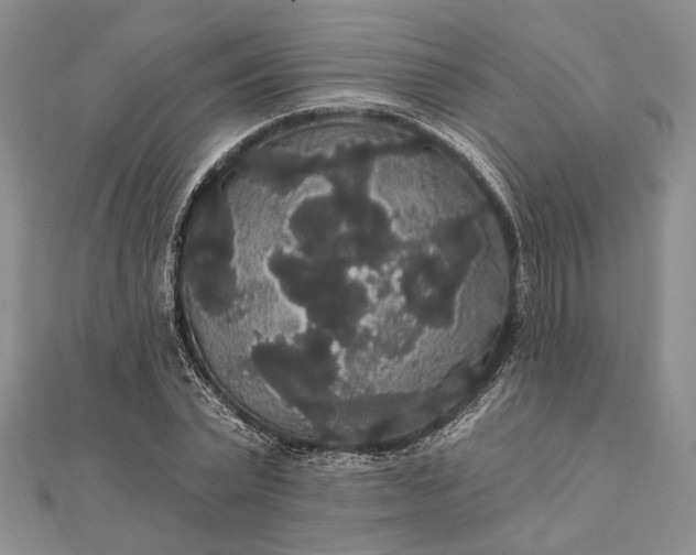 X0000111910783200908101200