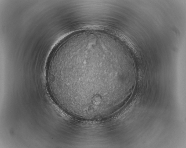 X0000111910784200908101200