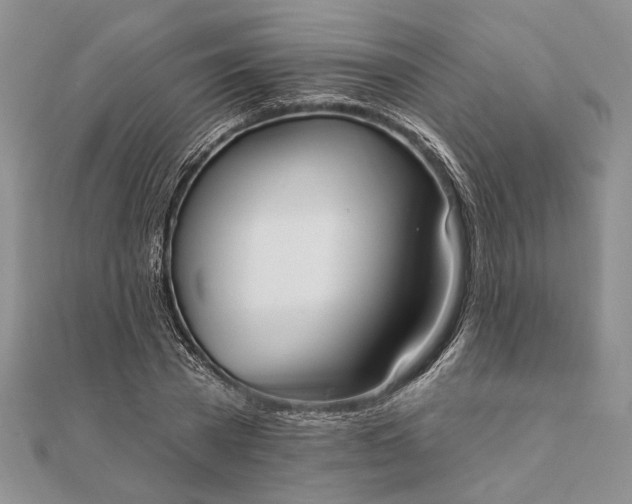 X0000111910785200908101200