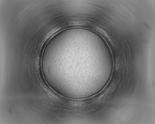 X0000111910786200908101200