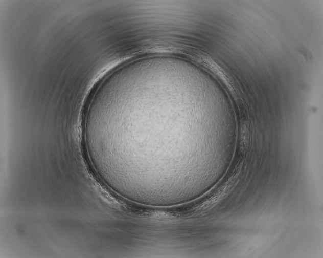 X0000111910787200908101200