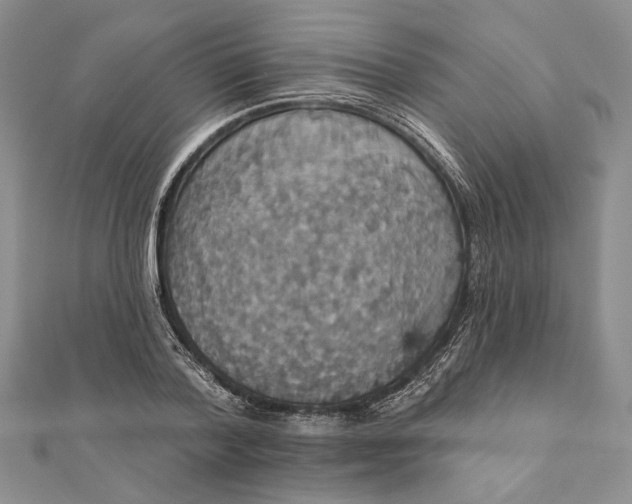 X0000111910788200908101200