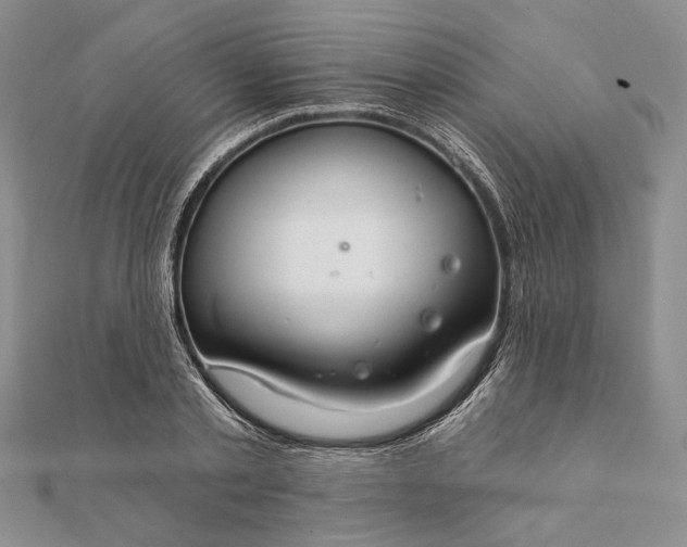 X0000111910789200908101200