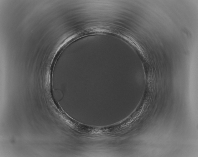 X0000111910790200908101200