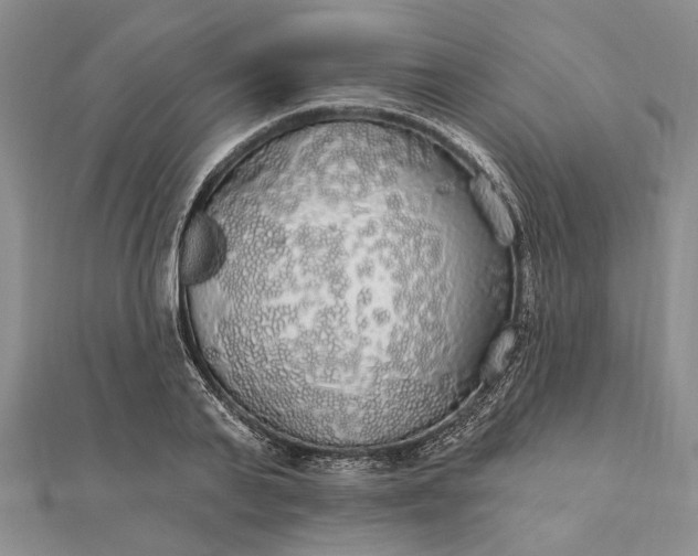 X0000111910791200908101200