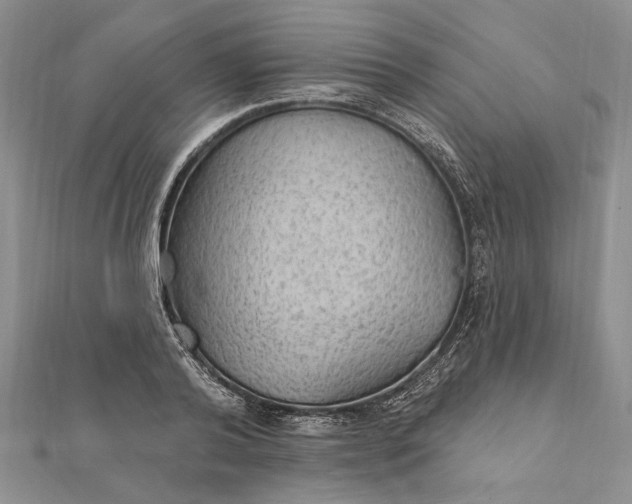 X0000111910792200908101200