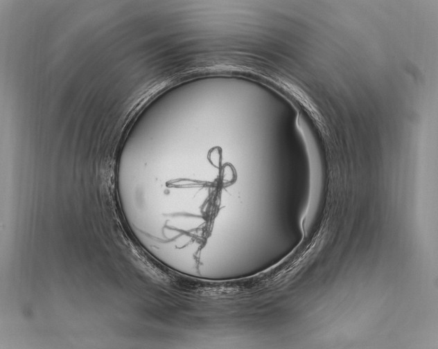 X0000111910793200908101200