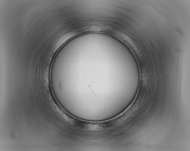 X0000111910794200908101200