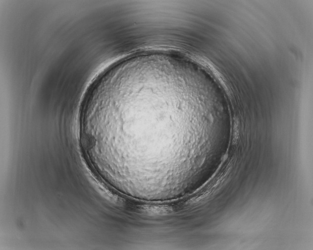 X0000111910795200908101159