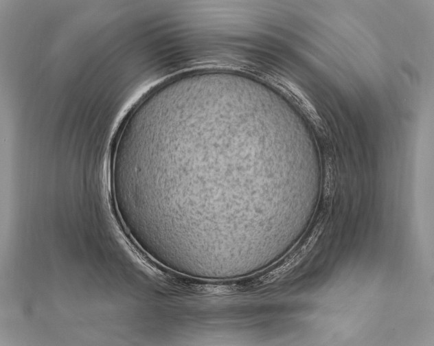 X0000111910796200908101159