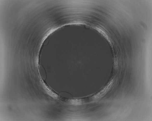 X0000111910797200908101159