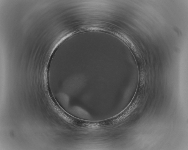 X0000111910798200908101159