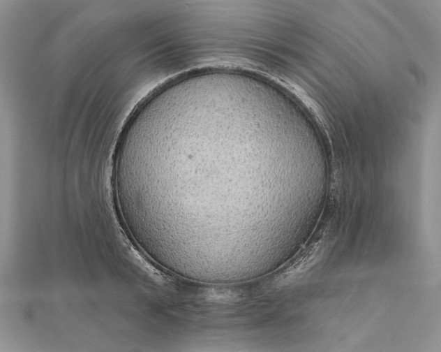 X0000111910799200908101159