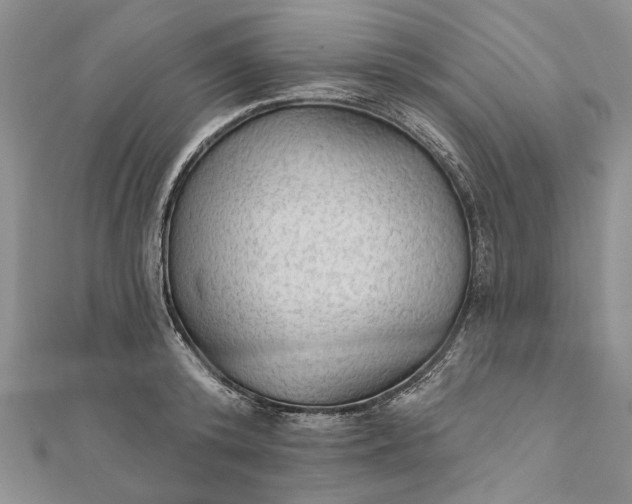 X0000111910800200908101159