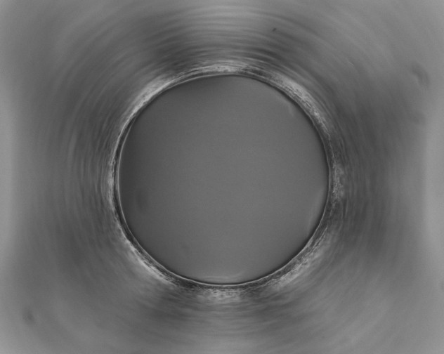 X0000111910802200908101159