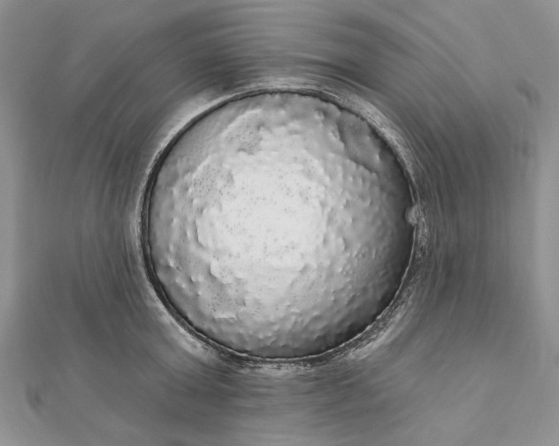 X0000111910803200908101159