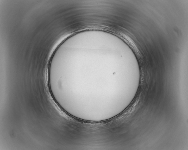 X0000111910804200908101159