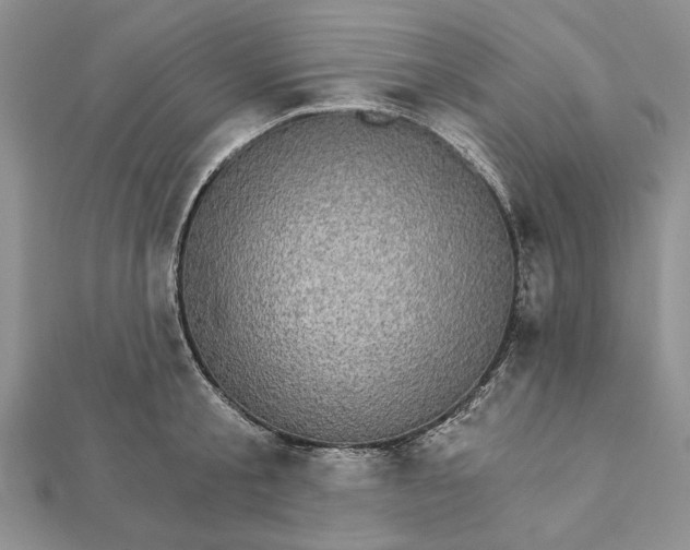 X0000111910805200908101159