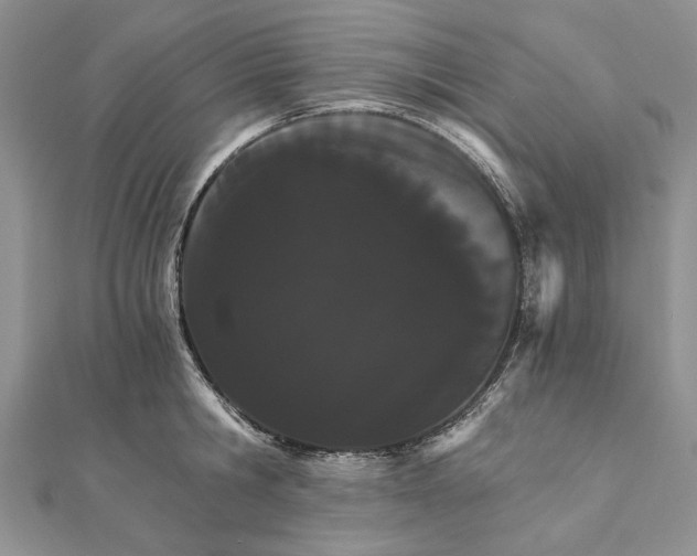 X0000111910806200908101159