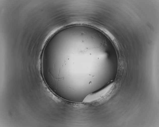 X0000111910807200908101159