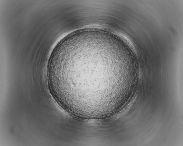 X0000111910808200908101159