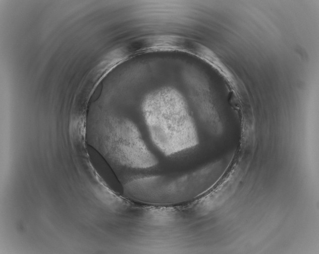 X0000111910809200908101159