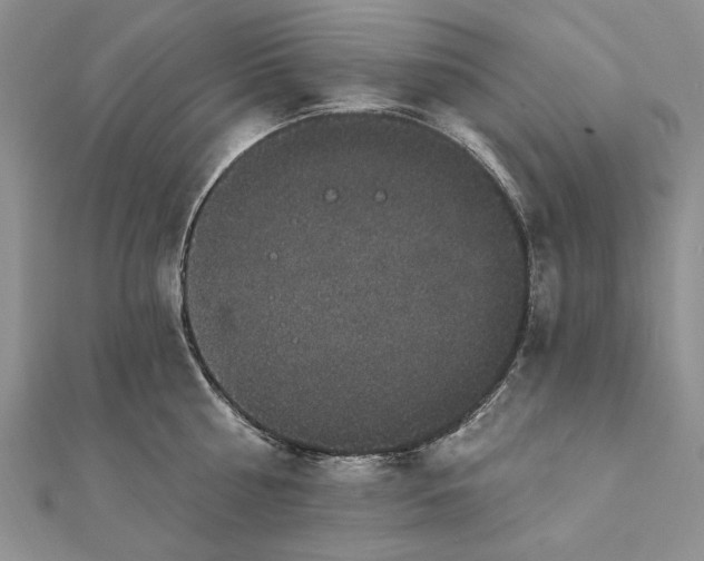 X0000111910810200908101159