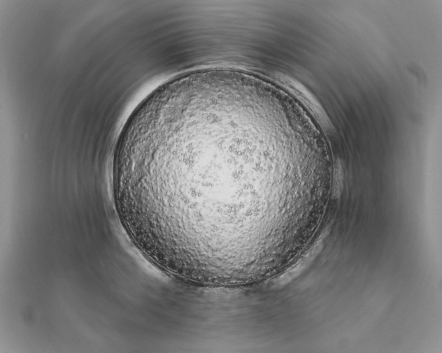 X0000111910812200908101159