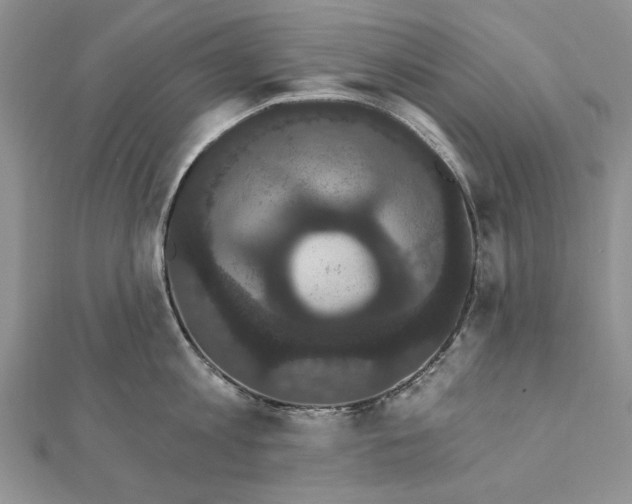 X0000111910813200908101159