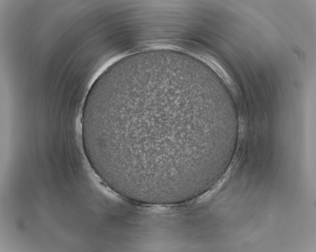 X0000111910814200908101159