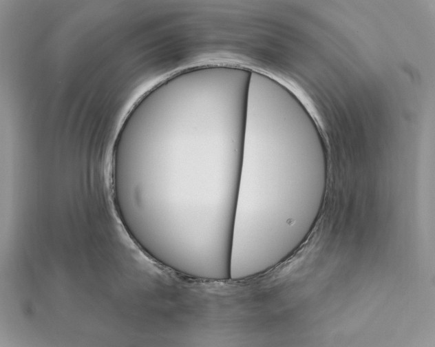 X0000111910815200908101159