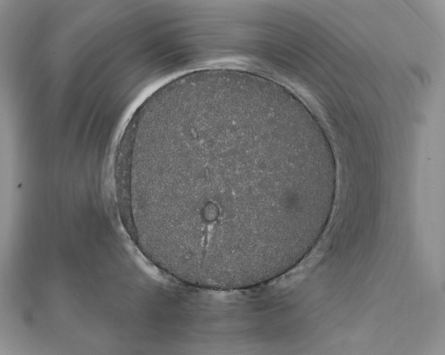 X0000111910816200908101159